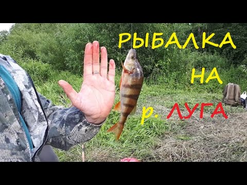 Видео: Как доехать,река Луга,рыбалка.