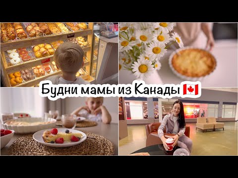 Видео: Будни мамы🇨🇦Творожная запеканка🥧Быстрый шопинг🛍Отправляем Еву в Оттаву🚗