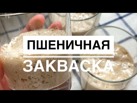 Видео: Пшеничная закваска