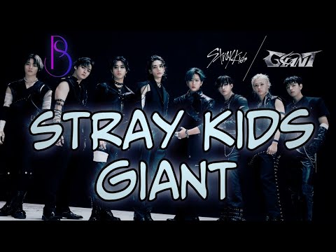 Видео: Stray Kids - гиганты в Японии