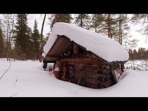 Видео: НОЧУЕМ в ИЗБЕ на ТАЁЖНОМ ОЗЕРЕ. ТОЛКАЧ УРАГАН ТАЙГА по ГЛУБОКОМУ СНЕГУ.