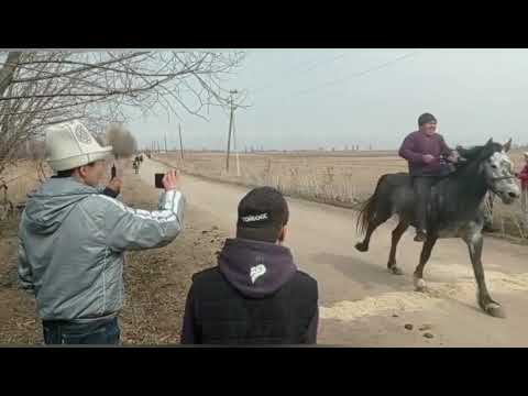 Видео: Ат чабыш. Жон-Булак. 21.03.2021