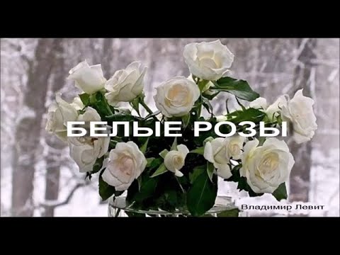 Видео: ВЛАДИМИР ЛЕВИТ -КУКЛЫ- БЕЛЫЕ РОЗЫ