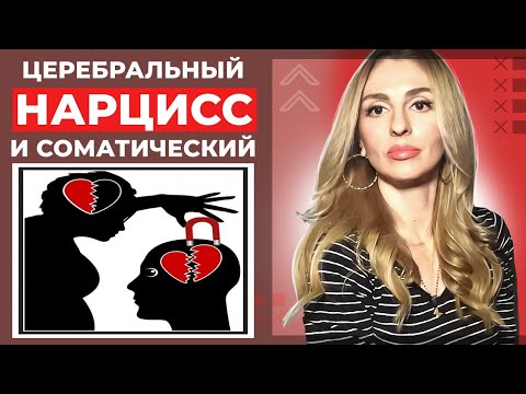 Видео: 🔺Нарцисс. Соматический и церебральный🔻