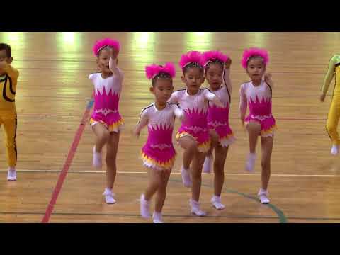 Видео: 129-р цэцэрлэг Уран гимнастикийн үзүүлбэр 2018