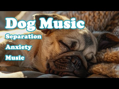 Видео: Музыка для собак: 💖🐶 Нежные песни для улучшения сна и лечения депрессии!