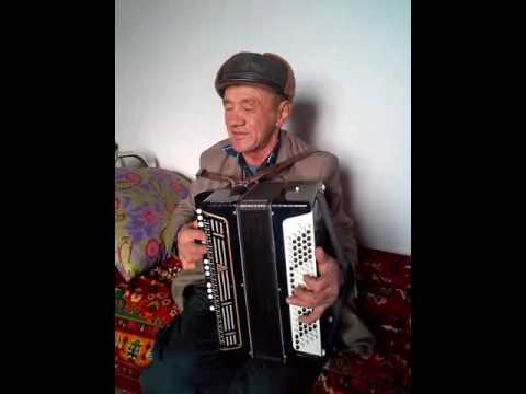 Видео: Кок жиде Елубай сері