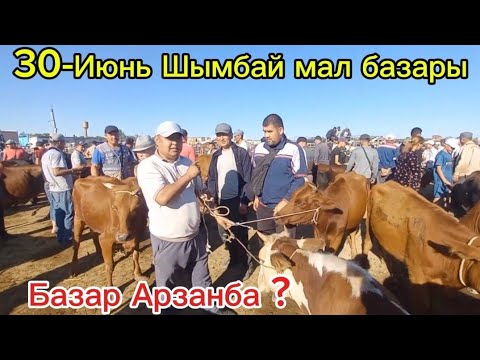 Видео: 30-Июнь/Шымбай мал базары/Бахаларын коремыз!