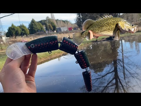 Видео: изготовление крупной поверхностной приманки для трески Мюррея