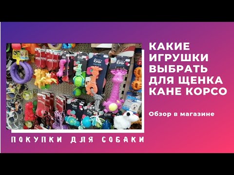 Видео: Игрушки для щенка. Какие игрушки выбрать щенку. Обзор в магазине.