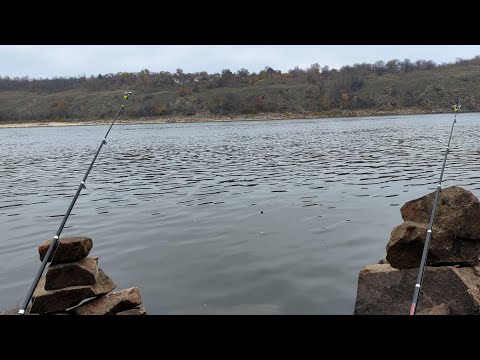 Видео: ЗАПОРОЖЬЕ РЫБАЛКА НА ДНЕПРЕ... 08.11.2025