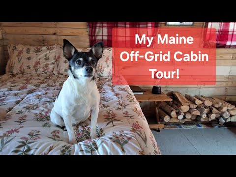 Видео: Экскурсия по автономным домикам в штате Мэн!