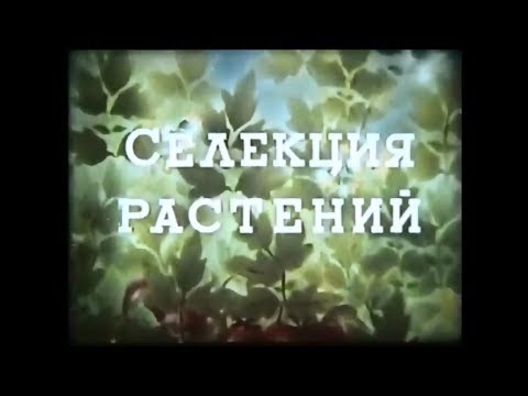 Видео: Селекция растений