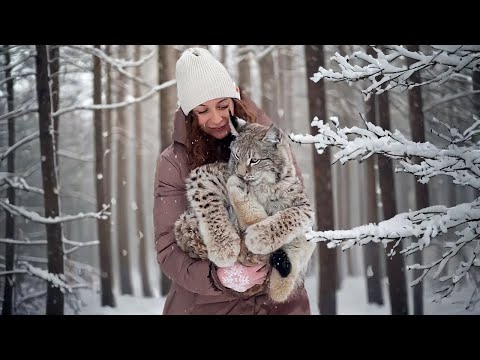 Видео: ИСТОРИЯ РЫСЕНКА ИЗЮМА И КАК ПОЯВИЛИСЬ МОИ РЫСИ