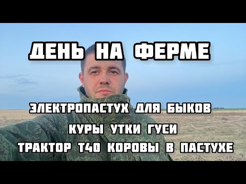 Видео: Будни фермера. День на ферме