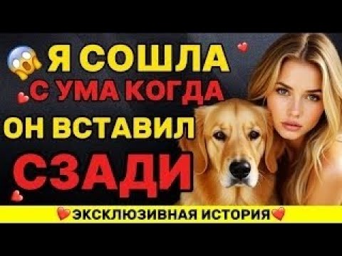 Видео: Моя собака внезапно сделала это со мной посреди ночи