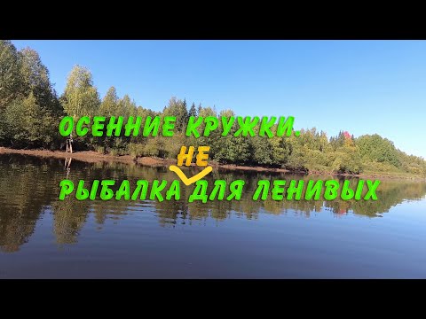 Видео: Осенние кружки  Рыбалка не для ленивых