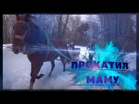 Видео: КОНЯ В САНКИ! ПРОКАТИЛ МАМУ НА САНЯХ!