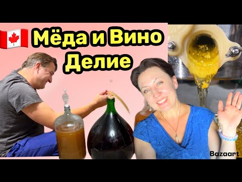 Видео: Жизнь в Канаде// качка мёда// молодое вино// урожай баклажан и перца