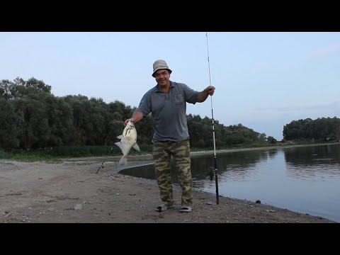 Видео: Рыбалка на Иртыше 2020.  Ловля на донки и фидер.