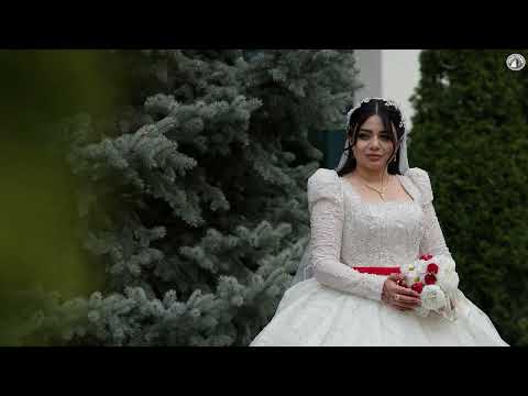 Видео: Алматы Астана Курдская Свадьба