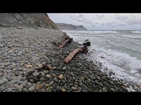 Видео: 27.10. Есть ли мазут на 300 ступенях. Анапа. 