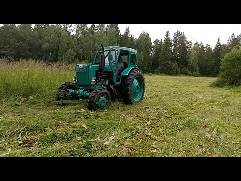 Видео: Настоящий покос травы