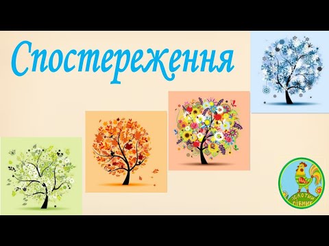 Видео: Спостереження за осінніми деревами