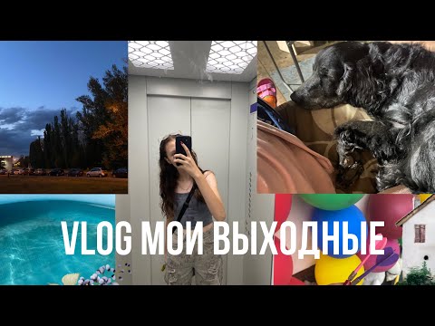 Видео: VLOG с дачи⛱️/как провела выходные 👩🏻‍🦱/купались в бассейне 🎀/Настена💗