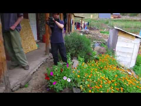 Видео: 2 ноября 2025 г.