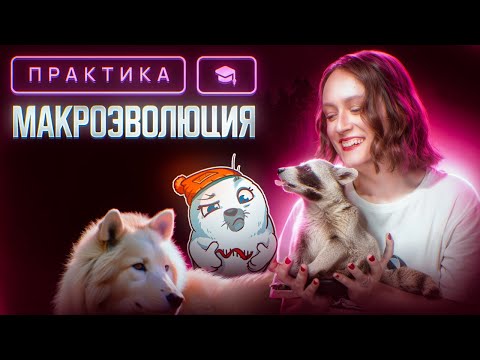Видео: Макроэволюция | ЕГЭ-2025 по биологии