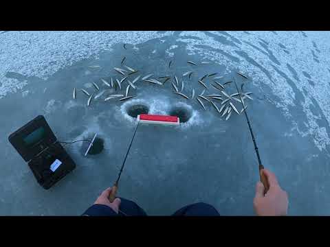 Видео: Открытие сезона зимней рыбалки в ДР