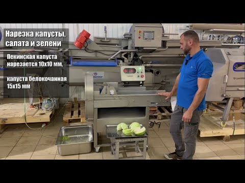 Видео: Машина для нарезки овощей, капусты, зелени Leaddenmar Belt Cutter 200 Pro | Полный обзор от профи