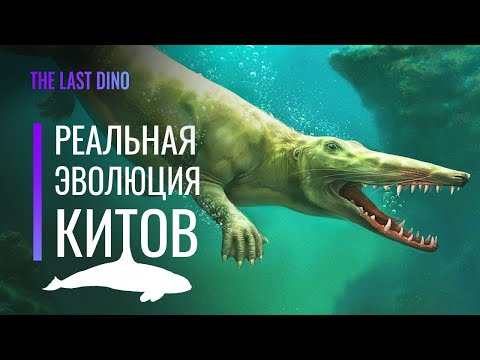 Видео: Реальная Эволюция Китов  От копыт до эхолокации