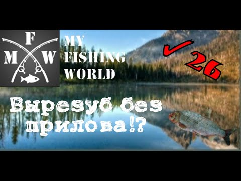 Видео: 26) My Fishing World вырезуб без прилова!?