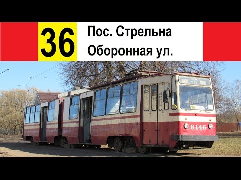 Видео: Трамвай 36 "Пос. Стрельна - Оборонная ул."