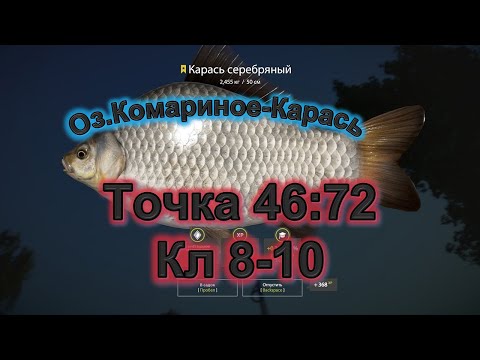 Видео: оз.Комариное-Карась-возможность закрыть ТРОФА#дмитрийhd #рр4 #рр4