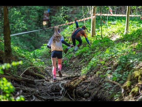 Видео: Ласіная сцежка Мядзвежы лес | Trail running