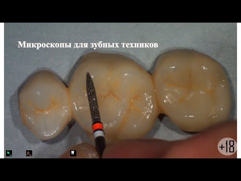 Видео: Микроскопы для зубных техников