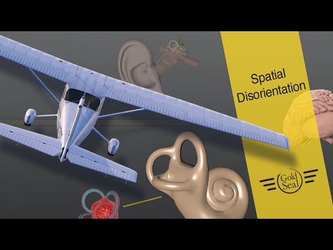 Видео: Пространственная дезориентация