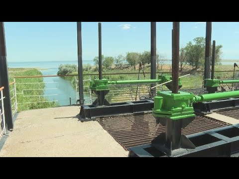 Видео: Алматы облысының шаруалары «Сорбұлақ» қоймасына қосымша су беруді сұрайды