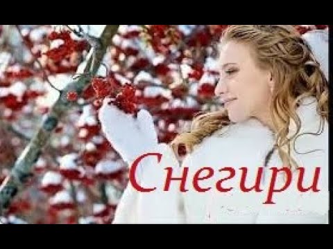 Видео: Снегири - исп. Аттилио Кардуччи