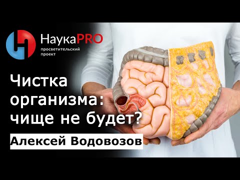 Видео: Чистка организма: чище не будет? | Большая лекция – врач-токсиколог Алексей Водовозов | Научпоп