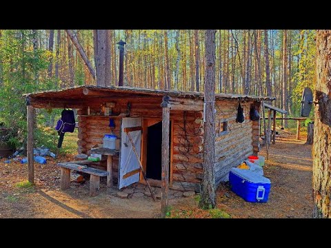 Видео: На осеннюю рыбалку! Тайга, река, избушка и суперский клёв!!!