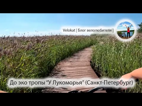 Видео: Велоэкскурсия к экотропе "У Лукоморья" и в Юнтоловский заказник. Любуемся на Финский залив в городе