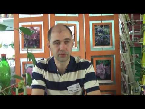 Видео: ДФ Игорь Милехин  'ХОЙИ'