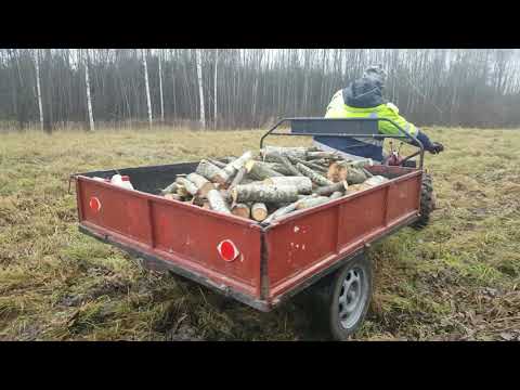 Видео: Открытие сезона по заготовке дров. Царские дрова.
