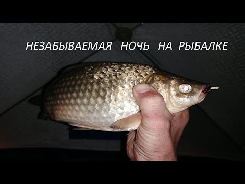 Видео: Ночная рыбалка со льда. Веселовское вдхр.