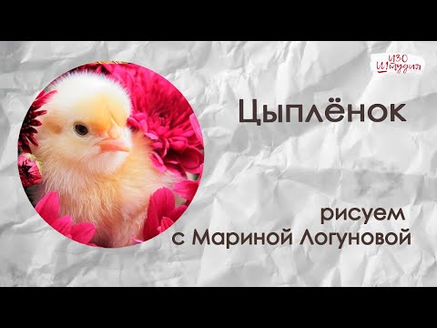Видео: Милый цыплёнок акварелью