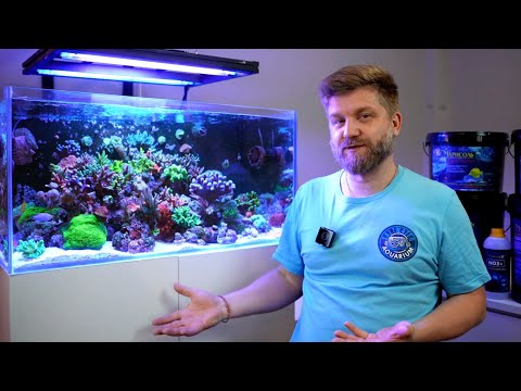 Видео: КАК БЕЗ ПРОБЛЕМ СОДЕРЖАТЬ МОРСКОЙ АКВАРИУМ
